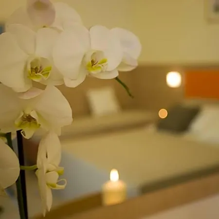 Consuelo Hotel 2*